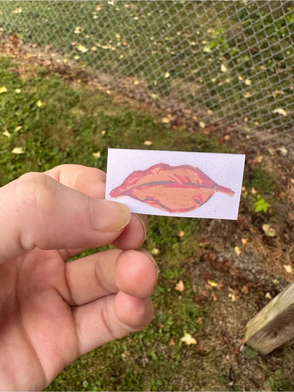 N/A cute orange